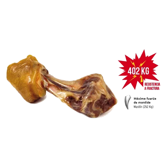 Jarret de jambon serrano pour chien Mediterranean, 550 g