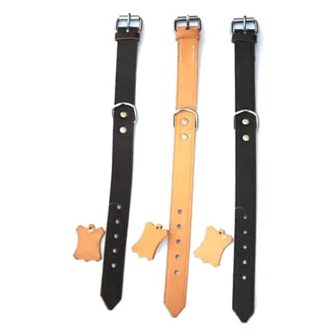 Collier chien large en cuir, tailles T1 à T7