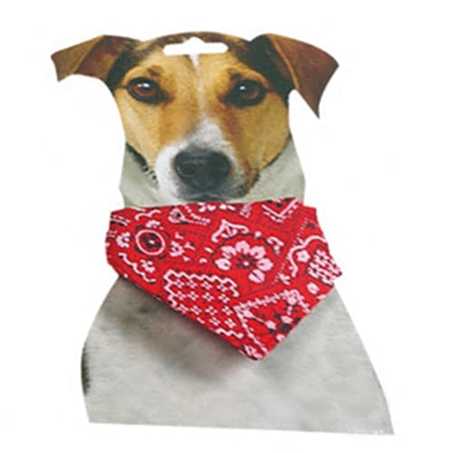 Collier avec bandana rouge pour chien, taille 1, 22–35 cm