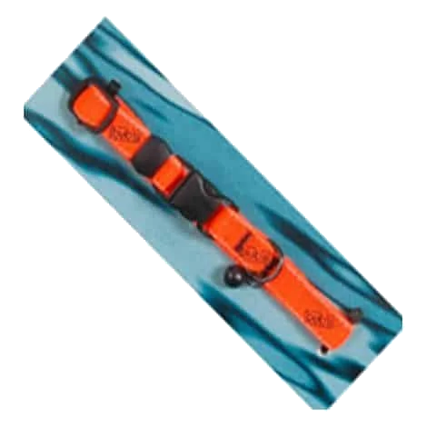 Collier élastique Bub's pour chat, orange