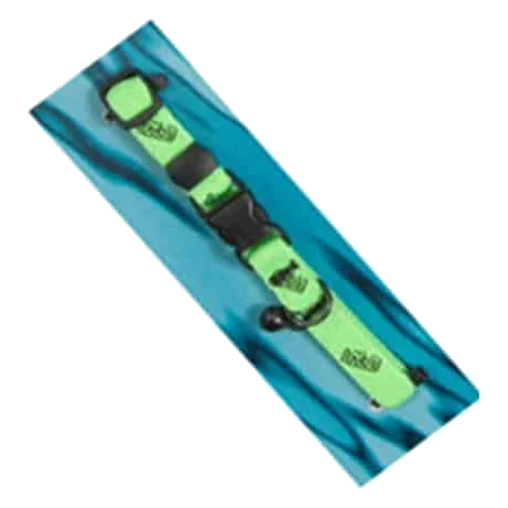 Collier élastique Bub's pour chat, vert