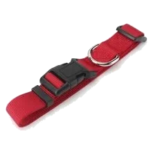 Collier chien en nylon 15 mm, tailles T1, T2 et T3