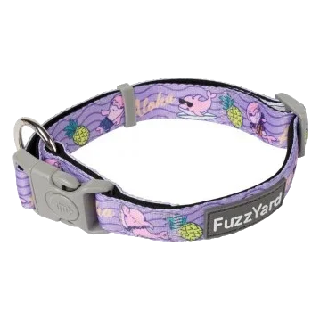 Collier pour chien FuzzYard Aloha Dolphins en néoprène