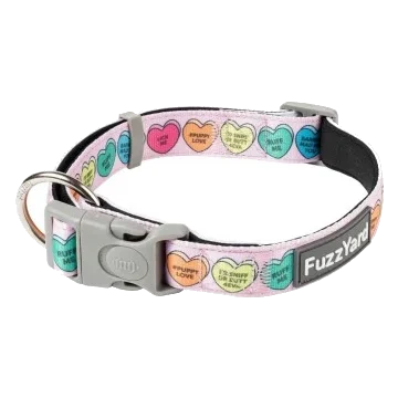 Collier pour chien en néoprène FuzzYard Candy Hearts