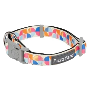Collier pour chien en néoprène rembourré FuzzYard Fresh Zest