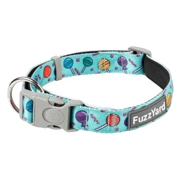 Collier pour chien en néoprène FuzzYard Hey Suckers!