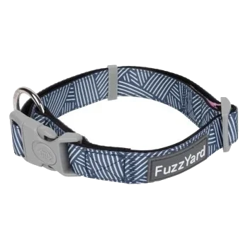 Collier pour chien en néoprène rembourré FuzzYard Thornbury Aegean Blue