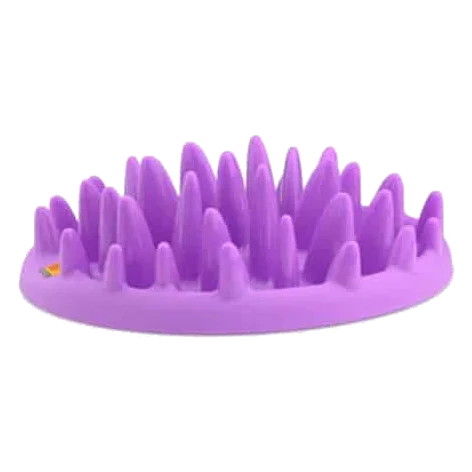 Gamelle anti-glouton Northmate violette