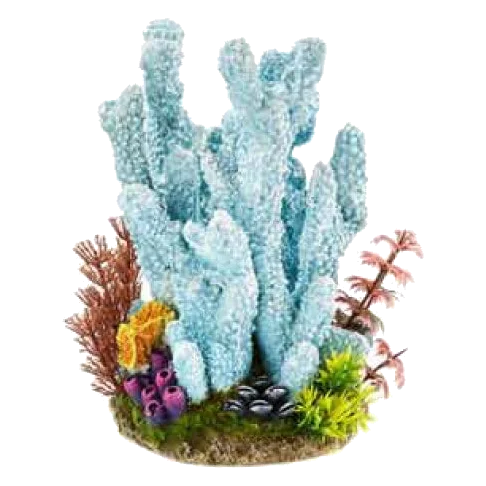 Corail bleu décoration aquarium