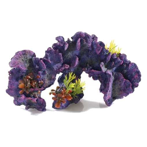 Corail décoration aquarium