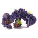 Corail décoration aquarium