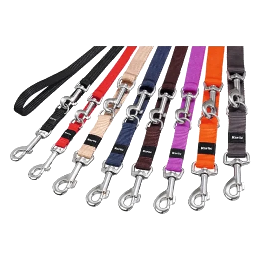 Laisse de dressage chien Art Sportiv, tailles XS à XL