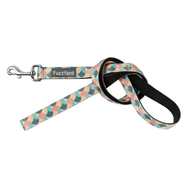 Laisse pour chien FuzzYard Carioca en néoprène rembourré