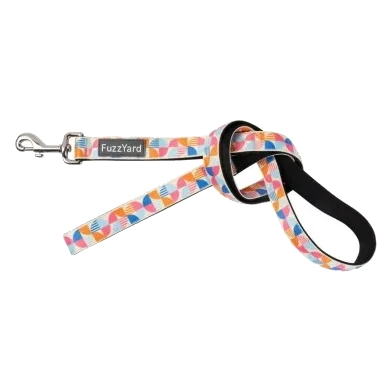 Laisse pour chien FuzzYard Fresh Zest en néoprène rembourré