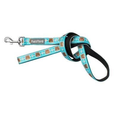 Laisse pour chien FuzzYard Fuzz Bear en néoprène