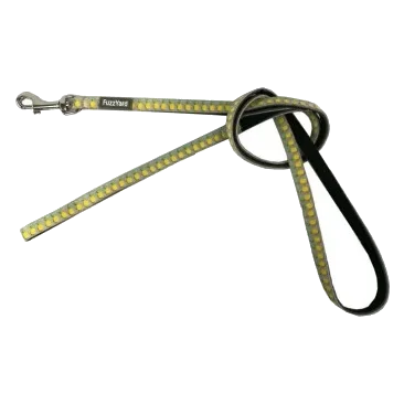 Laisse pour chien en néoprène FuzzYard Piña Colada, taille XS