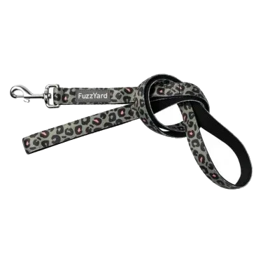 Laisse pour chien en néoprène FuzzYard Savanna