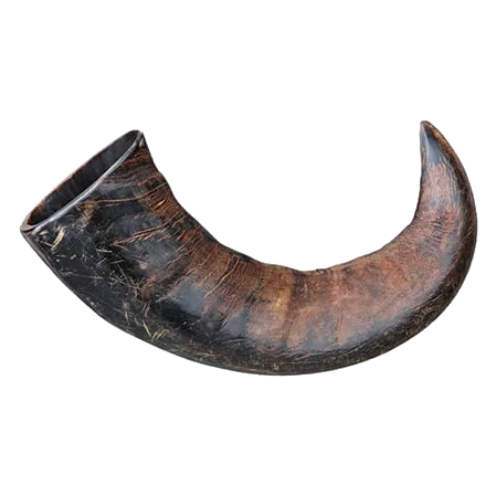Corne de buffle à mâcher pour chien, 15 et 20 cm