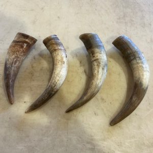 Cornes de bœuf à mâcher pour chien, grande taille