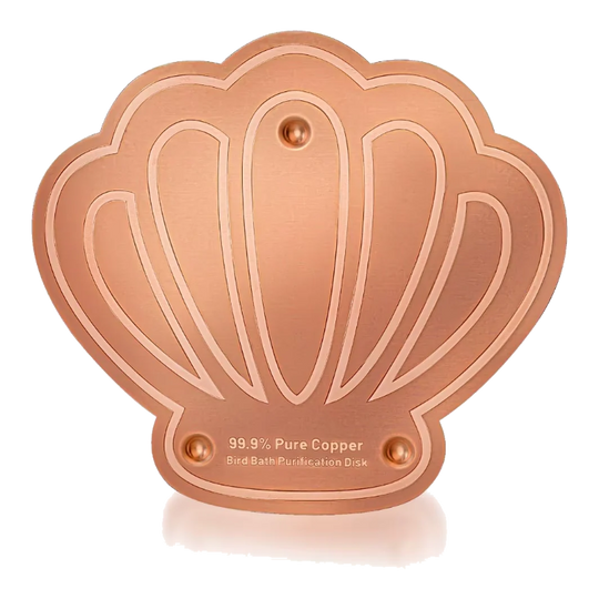 Disque en cuivre pour bain d'oiseaux en forme de coquillage