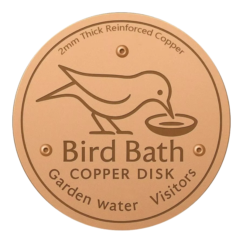 Disque en cuivre rond clair pour bain d'oiseaux avec oiseau gravé