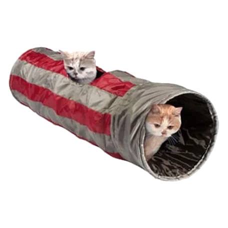 Laisse pour chat Feline Cruiser en nylon, 50 cm