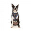 Harnais chien respirant FuzzYard Bed Bugs (taille XS)