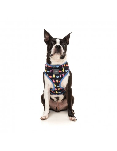Harnais chien respirant FuzzYard Bed Bugs (taille XS)