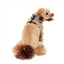 Harnais chien respirant FuzzYard Fitzroy (taille XS)