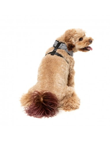 Harnais chien respirant FuzzYard Fitzroy (taille XS)