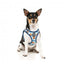 Harnais step-in pour chien FuzzYard Ahoy There! respirant