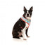 Harnais pour chien FuzzYard You Drive Me Glazy en lycra