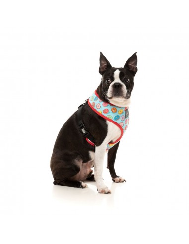 Harnais pour chien FuzzYard You Drive Me Glazy en lycra