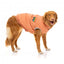 Manteau matelassé en coton pour chien FuzzYard Ashbury pêche
