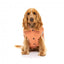 Manteau matelassé en coton pour chien FuzzYard Ashbury pêche
