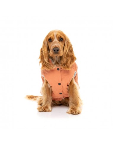 Manteau matelassé en coton pour chien FuzzYard Ashbury pêche