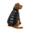 Doudoune pour chien FuzzYard East Harlem noire