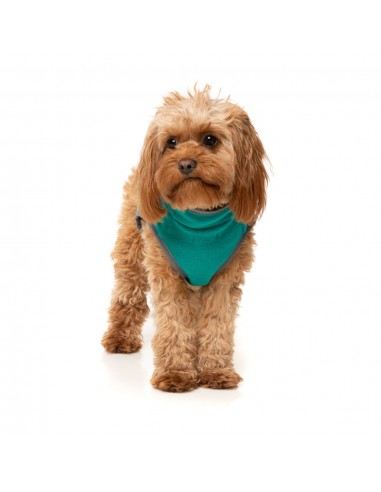 Gilet sherpa pour chien FuzzYard Fitzroy vert