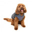 Manteau réfléchissant avec harnais pour chien FuzzYard Flash
