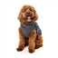 Manteau réfléchissant avec harnais pour chien FuzzYard Flash