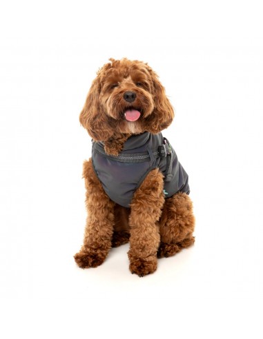 Manteau réfléchissant avec harnais pour chien FuzzYard Flash