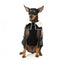 Gilet matelassé pour chien FuzzYard Sebastian noir