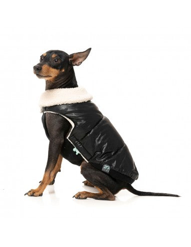 Gilet matelassé pour chien FuzzYard Sebastian noir