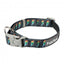 Collier chien en néoprène FuzzYard Volt! (taille M)