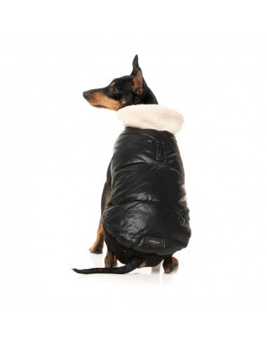 Manteau matelassé pour chien FuzzYard Sebastian noir taille 1