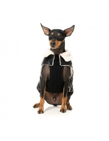 Manteau matelassé pour chien FuzzYard Sebastian noir taille 1
