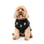 Pull pour chien FuzzYard Rep It Freshman avec velcro