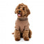 Pull col roulé pour chien FuzzYard Stevie latte