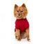 Pull col roulé pour chien FuzzYard Stevie rouge