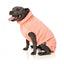 Pull pour chien FuzzYard Turtle Teddy pêche